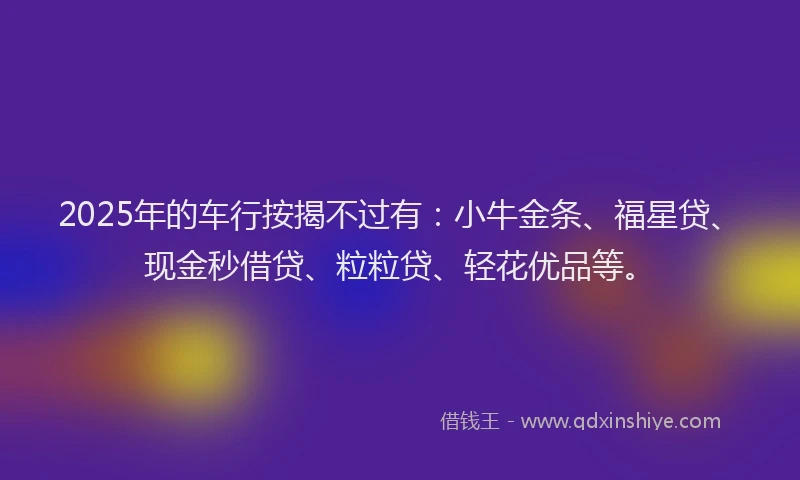 2025年的车行按揭不过有：小牛金条、福星贷、现金秒借贷、粒粒贷、轻花优品等。