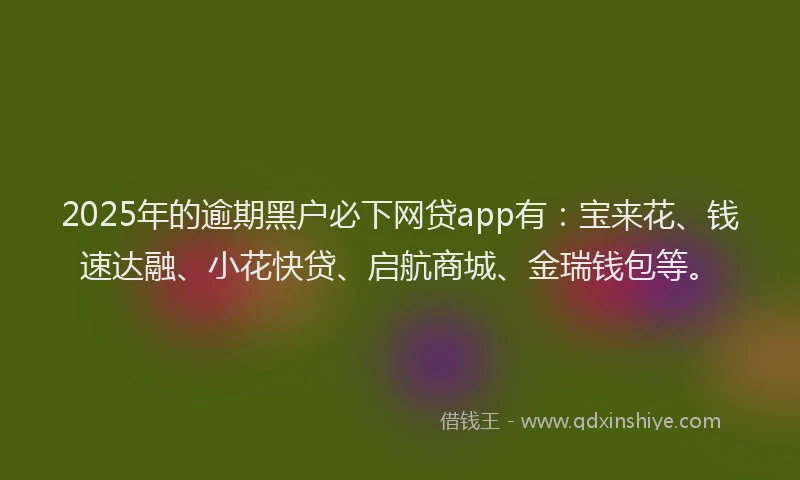 2025年的逾期黑户必下网贷app有：宝来花、钱速达融、小花快贷、启航商城、金瑞钱包等。