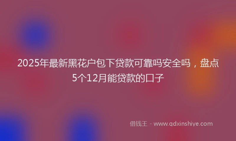 2025年最新黑花户包下贷款可靠吗安全吗，盘点5个12月能贷款的口子