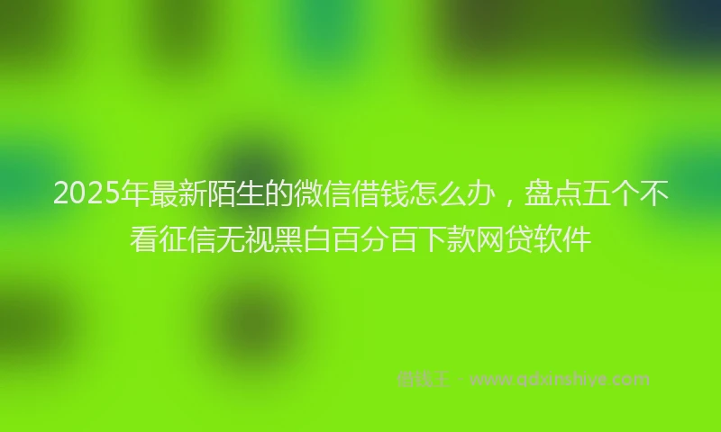 2025年最新陌生的微信借钱怎么办，盘点五个不看征信无视黑白百分百下款网贷软件