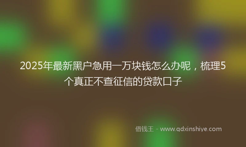 2025年最新黑户急用一万块钱怎么办呢，梳理5个真正不查征信的贷款口子