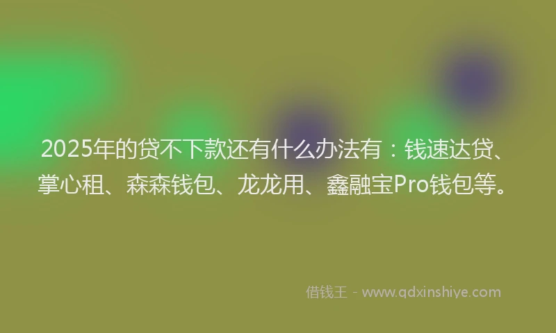 2025年的贷不下款还有什么办法有：钱速达贷、掌心租、森森钱包、龙龙用、鑫融宝Pro钱包等。