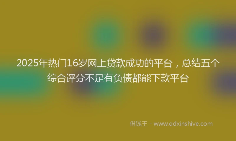 2025年热门16岁网上贷款成功的平台，总结五个综合评分不足有负债都能下款平台