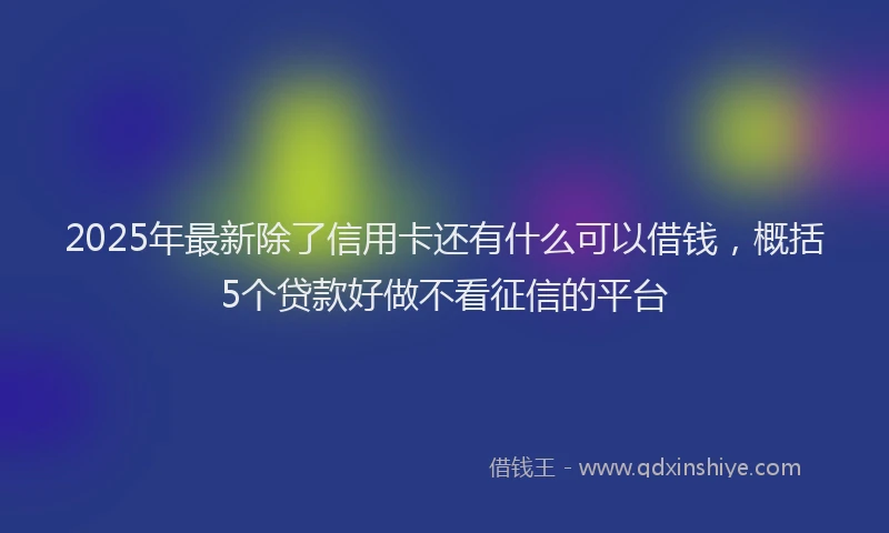 2025年最新除了信用卡还有什么可以借钱，概括5个贷款好做不看征信的平台