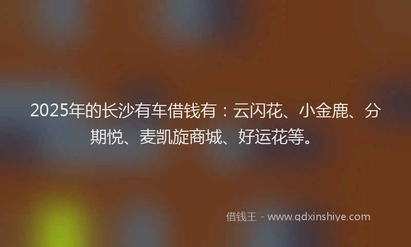 2025年的长沙有车借钱有：云闪花、小金鹿、分期悦、麦凯旋商城、好运花等。