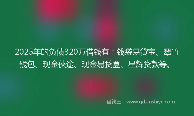 2025年的负债320万借钱有：钱袋易贷宝、翠竹钱包、现金侠途、现金易贷盒、星辉贷款等。
