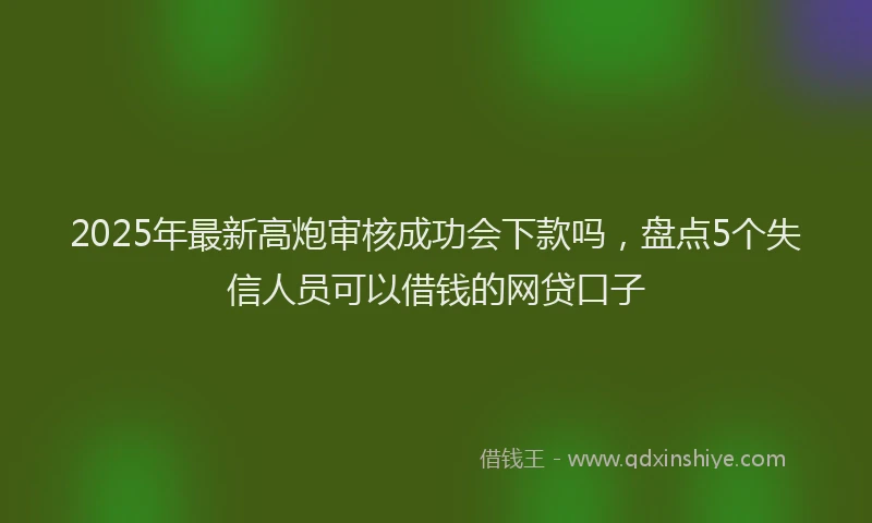 2025年最新高炮审核成功会下款吗，盘点5个失信人员可以借钱的网贷口子
