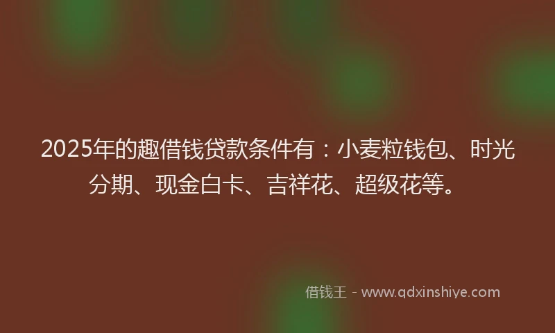 2025年的趣借钱贷款条件有：小麦粒钱包、时光分期、现金白卡、吉祥花、超级花等。
