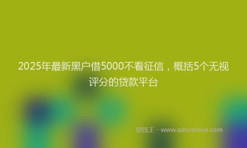 2025年最新黑户借5000不看征信，概括5个无视评分的贷款平台
