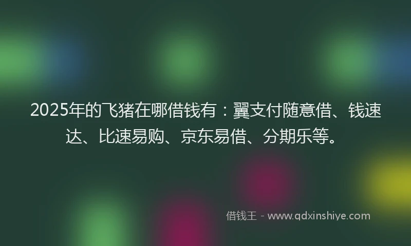 2025年的飞猪在哪借钱有：翼支付随意借、钱速达、比速易购、京东易借、分期乐等。
