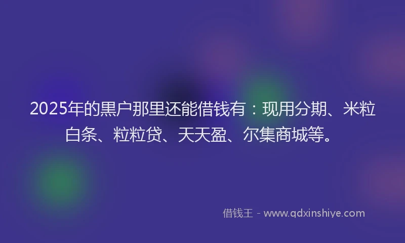2025年的黒户那里还能借钱有：现用分期、米粒白条、粒粒贷、天天盈、尔集商城等。