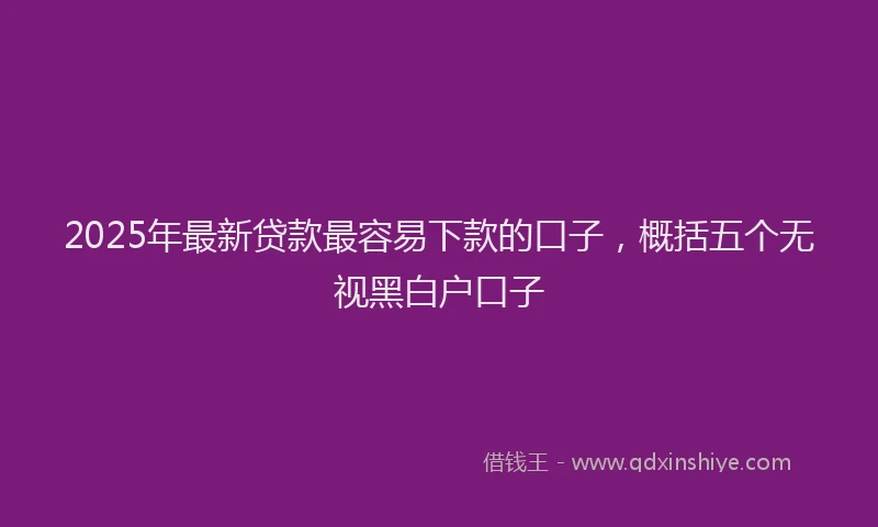 2025年最新贷款最容易下款的口子，概括五个无视黑白户口子
