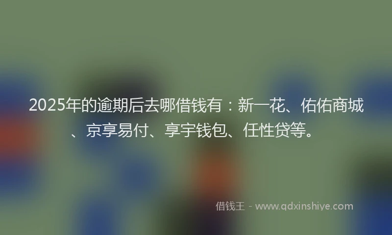 2025年的逾期后去哪借钱有：新一花、佑佑商城、京享易付、享宇钱包、任性贷等。