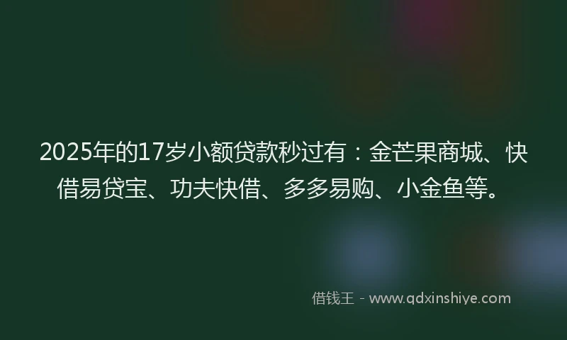 2025年的17岁小额贷款秒过有：金芒果商城、快借易贷宝、功夫快借、多多易购、小金鱼等。