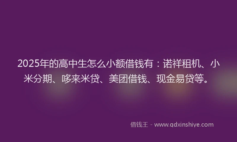 2025年的高中生怎么小额借钱有：诺祥租机、小米分期、哆来米贷、美团借钱、现金易贷等。
