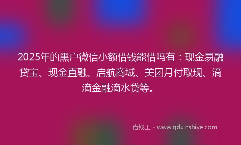 2025年的黑户微信小额借钱能借吗有：现金易融贷宝、现金直融、启航商城、美团月付取现、滴滴金融滴水贷等。