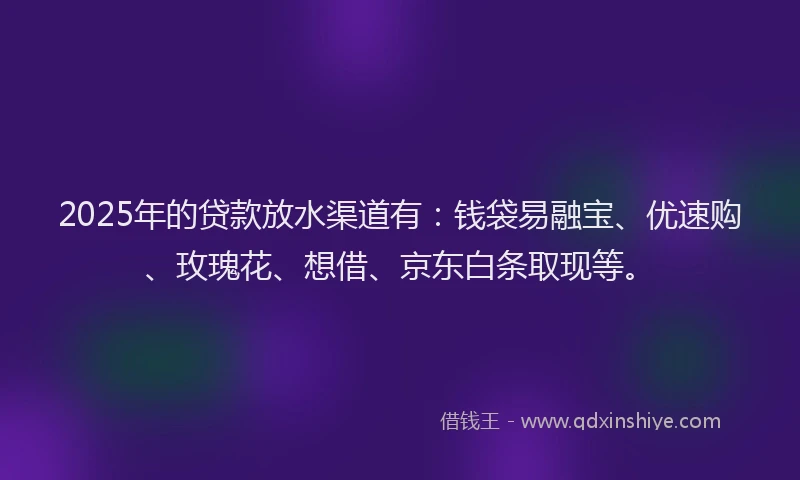 2025年的贷款放水渠道有：钱袋易融宝、优速购、玫瑰花、想借、京东白条取现等。