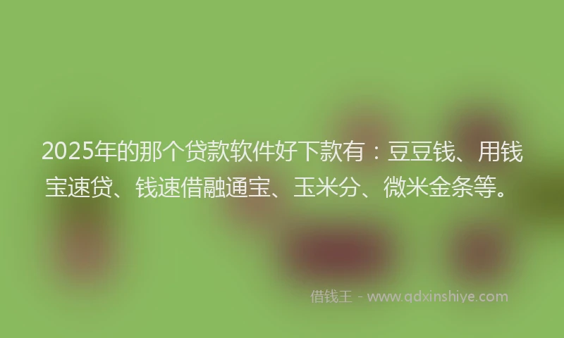 2025年的那个贷款软件好下款有：豆豆钱、用钱宝速贷、钱速借融通宝、玉米分、微米金条等。