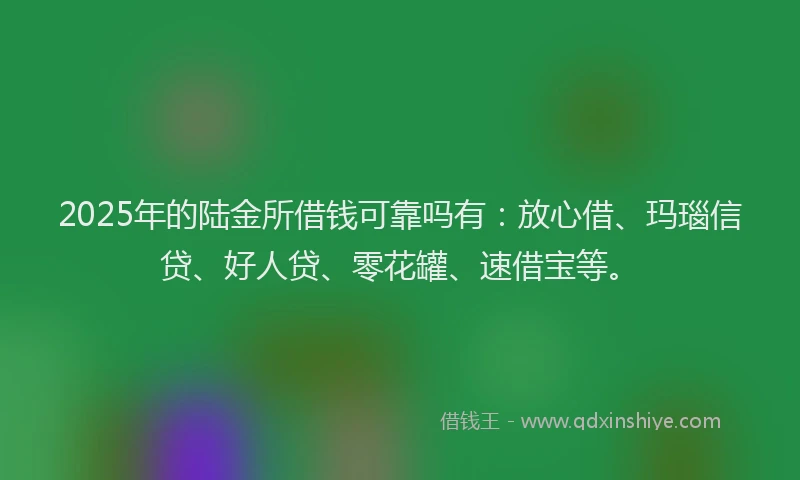 2025年的陆金所借钱可靠吗有：放心借、玛瑙信贷、好人贷、零花罐、速借宝等。