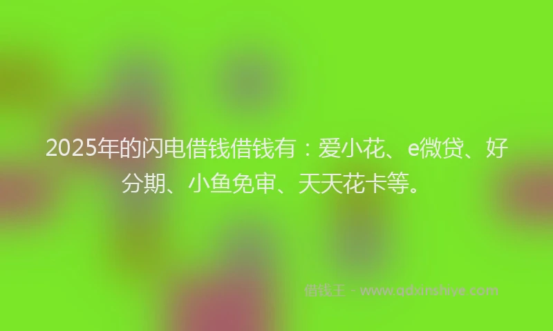 2025年的闪电借钱借钱有：爱小花、e微贷、好分期、小鱼免审、天天花卡等。