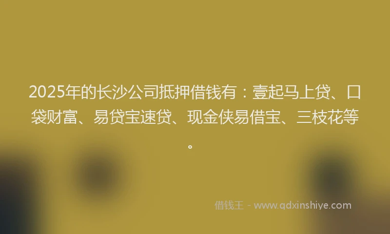2025年的长沙公司抵押借钱有：壹起马上贷、口袋财富、易贷宝速贷、现金侠易借宝、三枝花等。