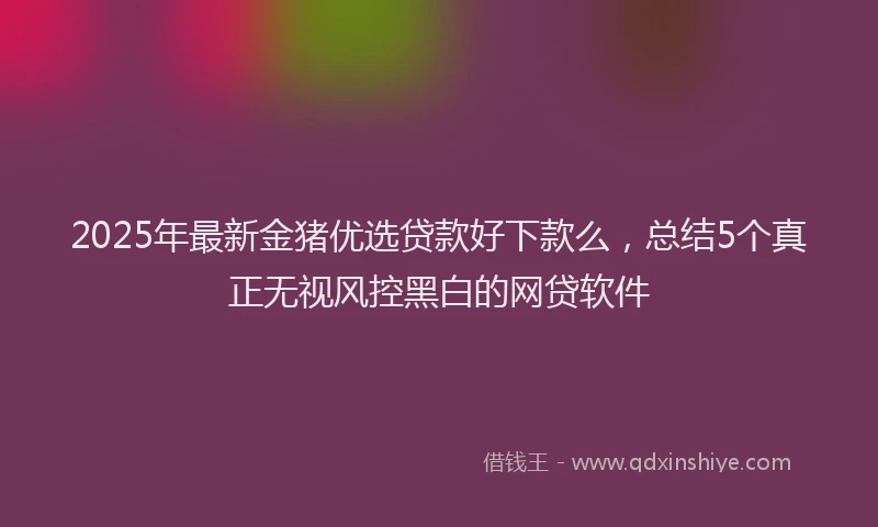 2025年最新金猪优选贷款好下款么，总结5个真正无视风控黑白的网贷软件