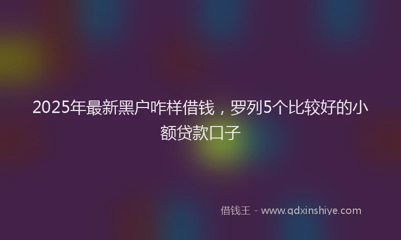 2025年最新黑户咋样借钱，罗列5个比较好的小额贷款口子