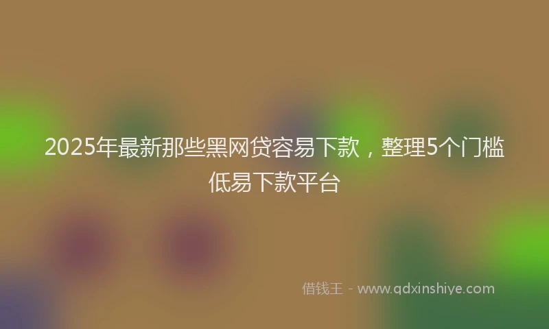 2025年最新那些黑网贷容易下款，整理5个门槛低易下款平台