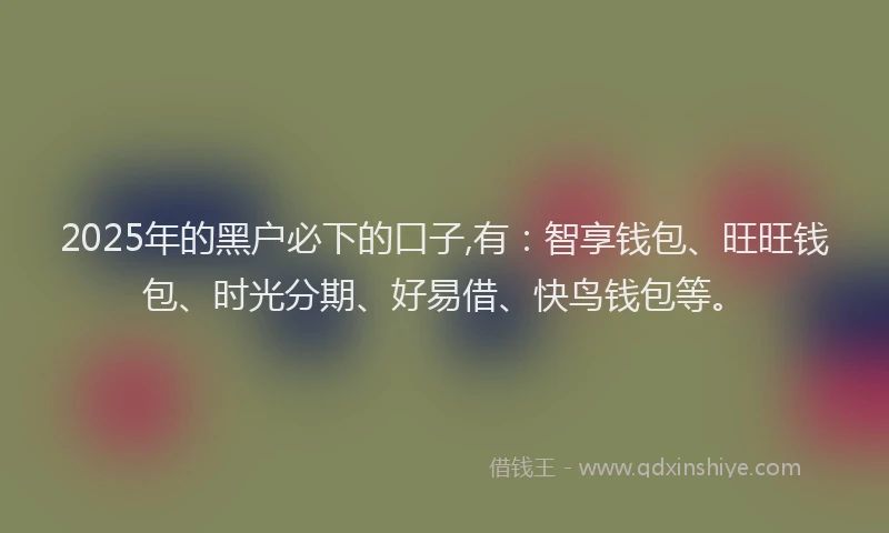2025年的黑户必下的口子,有：智享钱包、旺旺钱包、时光分期、好易借、快鸟钱包等。