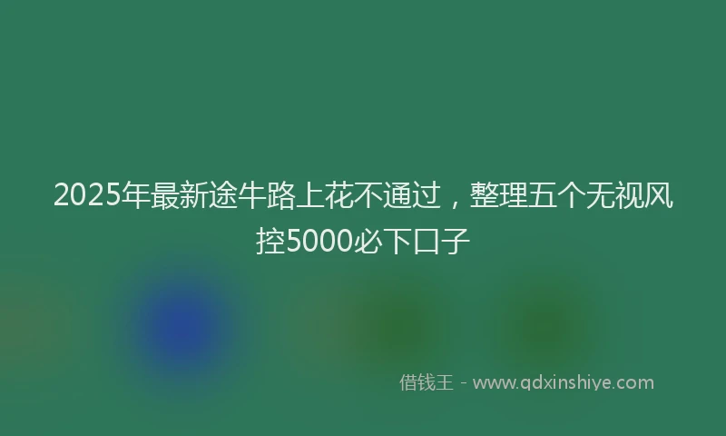 2025年最新途牛路上花不通过，整理五个无视风控5000必下口子