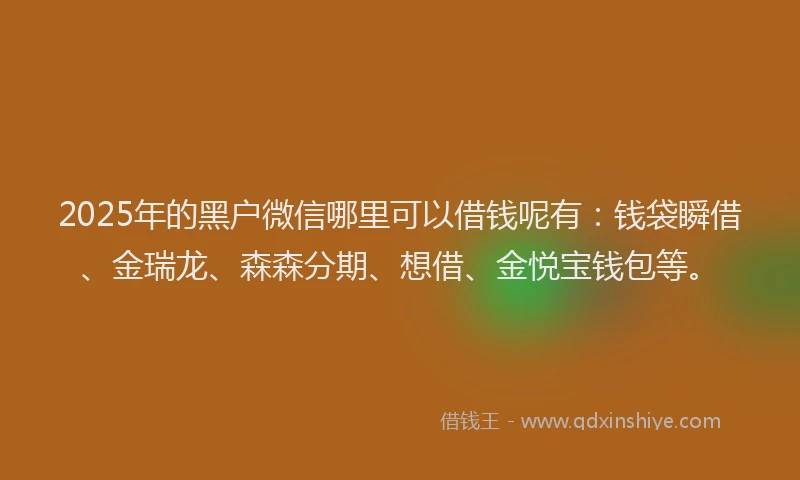 2025年的黑户微信哪里可以借钱呢有：钱袋瞬借、金瑞龙、森森分期、想借、金悦宝钱包等。