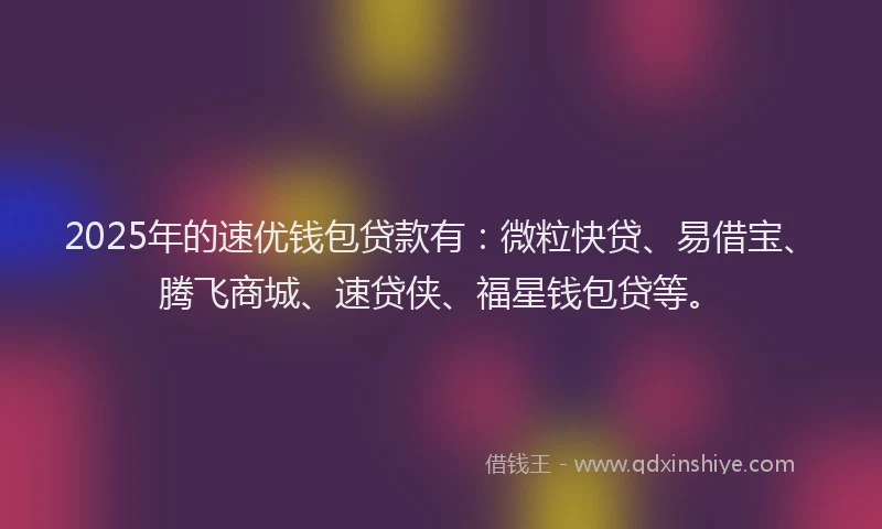2025年的速优钱包贷款有：微粒快贷、易借宝、腾飞商城、速贷侠、福星钱包贷等。