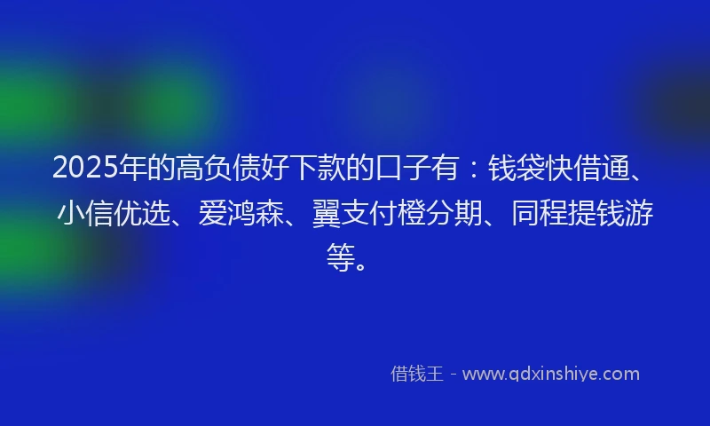 2025年的高负债好下款的口子有：钱袋快借通、小信优选、爱鸿森、翼支付橙分期、同程提钱游等。