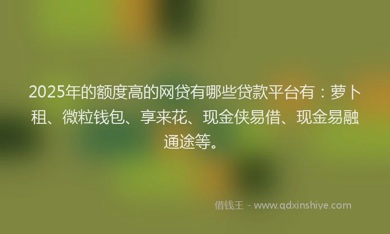 2025年的额度高的网贷有哪些贷款平台有：萝卜租、微粒钱包、享来花、现金侠易借、现金易融通途等。