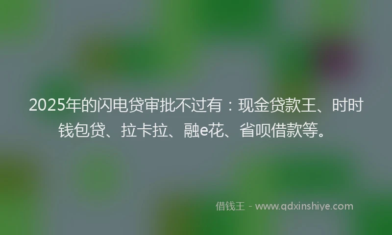2025年的闪电贷审批不过有：现金贷款王、时时钱包贷、拉卡拉、融e花、省呗借款等。