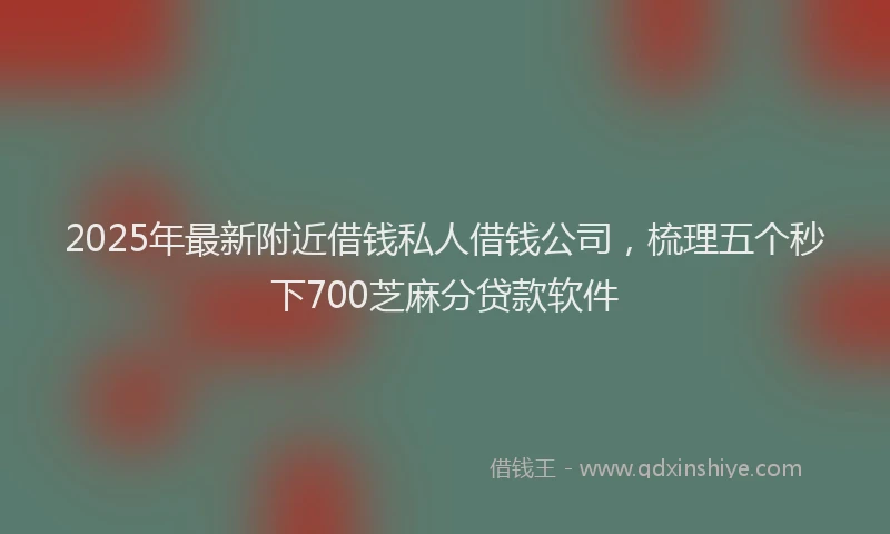2025年最新附近借钱私人借钱公司，梳理五个秒下700芝麻分贷款软件