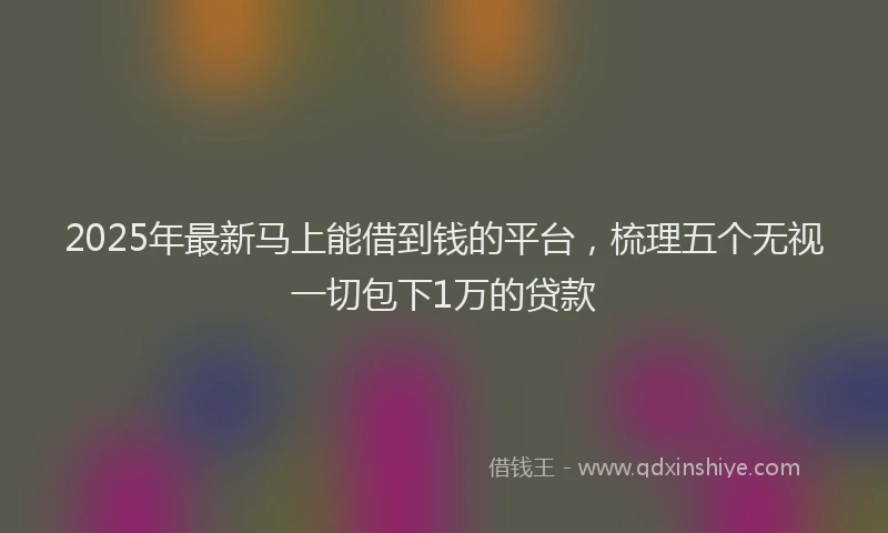 2025年最新马上能借到钱的平台，梳理五个无视一切包下1万的贷款