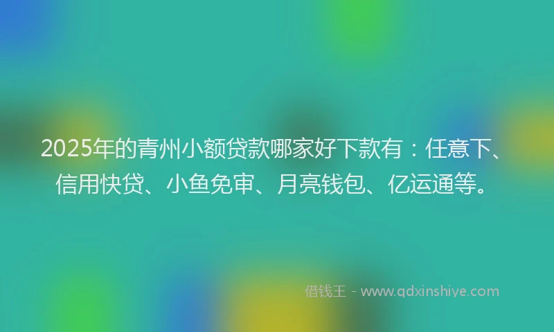 2025年的青州小额贷款哪家好下款有：任意下、信用快贷、小鱼免审、月亮钱包、亿运通等。