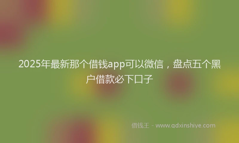 2025年最新那个借钱app可以微信，盘点五个黑户借款必下口子
