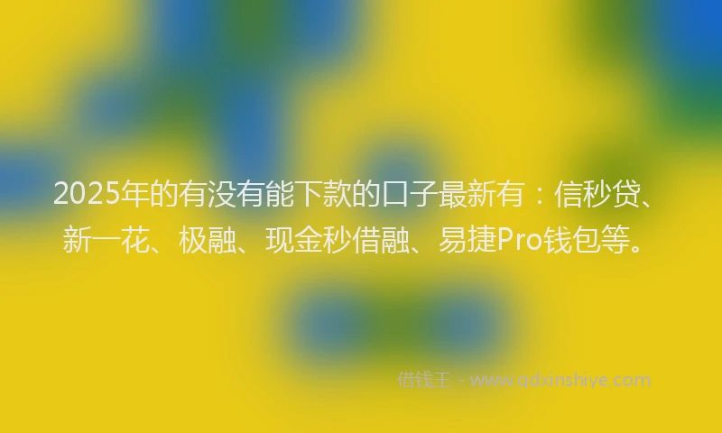 2025年的有没有能下款的口子最新有：信秒贷、新一花、极融、现金秒借融、易捷Pro钱包等。