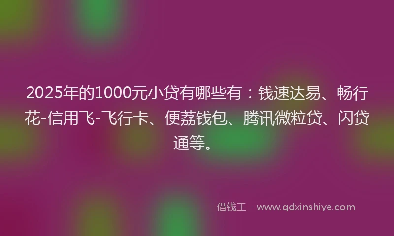 2025年的1000元小贷有哪些有：钱速达易、畅行花-信用飞-飞行卡、便荔钱包、腾讯微粒贷、闪贷通等。