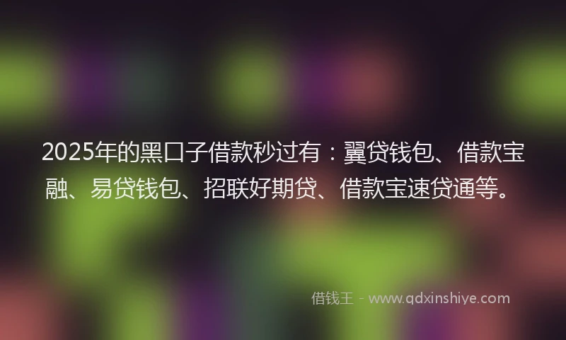2025年的黑口子借款秒过有：翼贷钱包、借款宝融、易贷钱包、招联好期贷、借款宝速贷通等。