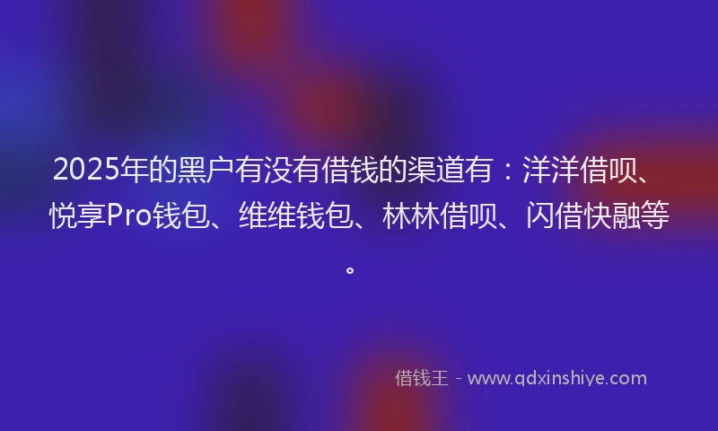 2025年的黑户有没有借钱的渠道有：洋洋借呗、悦享Pro钱包、维维钱包、林林借呗、闪借快融等。