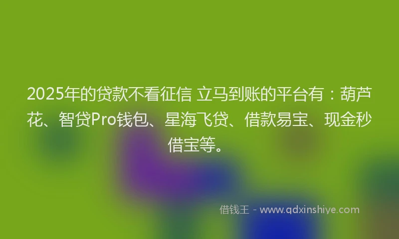 2025年的贷款不看征信 立马到账的平台有：葫芦花、智贷Pro钱包、星海飞贷、借款易宝、现金秒借宝等。
