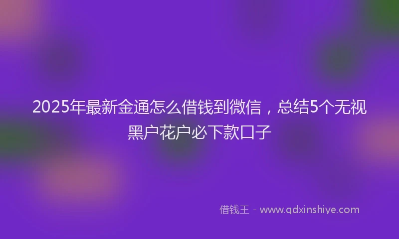 2025年最新金通怎么借钱到微信，总结5个无视黑户花户必下款口子