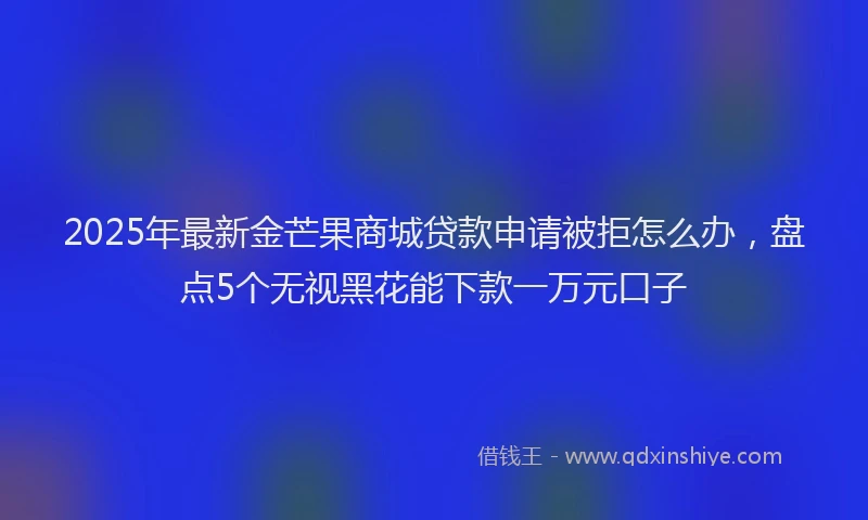 2025年最新金芒果商城贷款申请被拒怎么办，盘点5个无视黑花能下款一万元口子