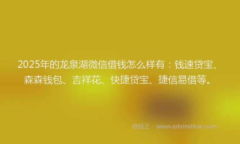 2025年的龙泉湖微信借钱怎么样有：钱速贷宝、森森钱包、吉祥花、快捷贷宝、捷信易借等。