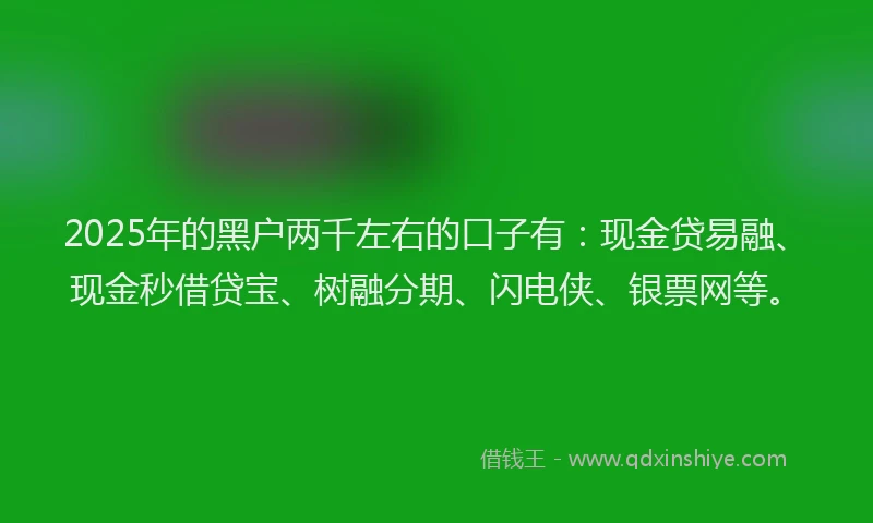 2025年的黑户两千左右的口子有：现金贷易融、现金秒借贷宝、树融分期、闪电侠、银票网等。