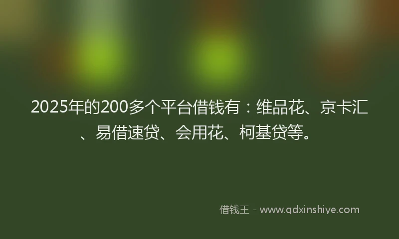 2025年的200多个平台借钱有：维品花、京卡汇、易借速贷、会用花、柯基贷等。