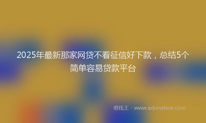 2025年最新那家网贷不看征信好下款，总结5个简单容易贷款平台